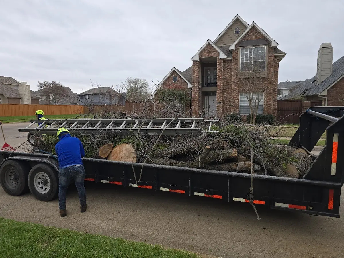 Expert Tree Pest Control with proper safety equipment in Encinal